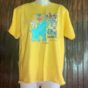 Joy of the Lord Tees (By Kerusso)